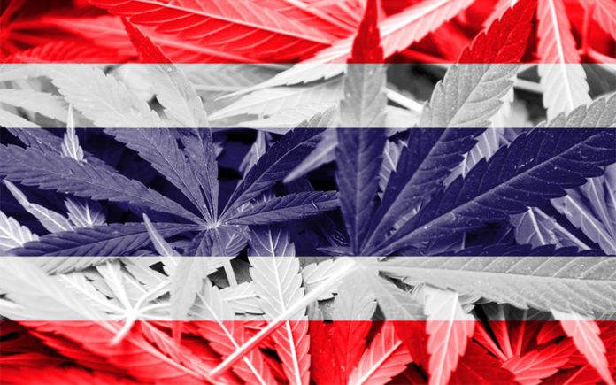 CANNABIS LEGALIZATION: IS THAILAND READY FOR IT? - Thaimbc.com